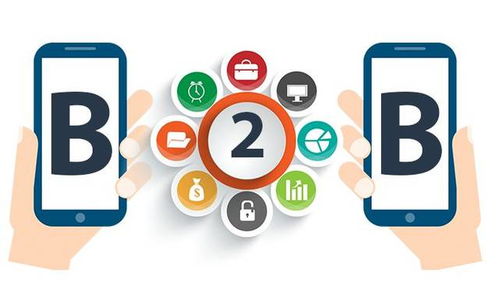 搭上新冻网快车，做大做强冻品事业——互联网信息服务助力行业发展